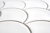 Mosaik Fliese Keramik Fächer weiß glänzend Format: 98x98x5 mm, Bogengröße: 60 x 100 mm, 1 Handmuster ca. 6x10 cm