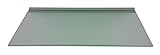 Regale4You Glasregal: 60x30 cm satiniertes Glas 10 mm mit Profil LINO10 komplett mit Befestigung / 3…