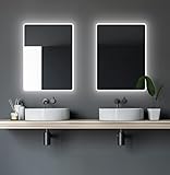 Talos Badspiegel mit Beleuchtung Moon - Badezimmerspiegel 80 x 60 cm - mit umlaufenden Raumlicht - Lichtfarbe…