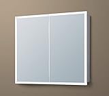 4E Design Spiegelschrank mit lichtleitenden Acryl-Streifen, ALU Korpus und verspiegelten Türen Badezimmerspiegel Wandspiegel Lichtspiegel (100 x 70 x 13,5 cm (BxHxT))