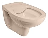 'aquaSu® Basic Spülrandloses Wand WC 217, Hänge WC mit waagerechtem Abgang, Tiefspüler ohne Spülrand,…