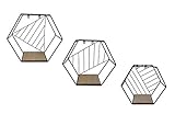 Metall Wandregal Hexagon im 3er Set - Sechseck Regale in 3 unterschiedlichen Größen - Design Hängeregal Bad Regal Küchenregal
