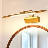 TYhogar LED Badezimmer Spiegel Lampe 42cm, Dimmbare Wandleuchte 6W 700LM Badezimmer Lampe Spiegelleuchte…