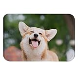 A.Monamour rutschfest Saugfähig Waschbar Badematte Lächelndes Glückliches Corgi Hunde Tier Porträt Weich…