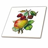 3dRose CT 170413 _ 2 Vintage Äpfel auf einem AST mit Rot Kirschen Keramik Fliesen, 15,2 cm