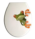 Duroplast WC Sitz Klobrille Modell Frosch mit Absenkautomatik, zur Reinigung abnehmbar, 59850