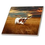 3dRose A Texas Longhorn – Keramikfliese, 30,5 cm (ct_62229_4)