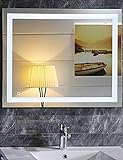 Dr. Fleischmann LED-beleuchteter Badezimmerspiegel Badspiegel 80 x 60 cm mit Touch-Schalter Lichtfarbe…