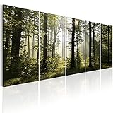 murando Acrylglasbild Wald 200x80 cm 5 Teilig Wandbild auf Acryl Glas Bilder Kunstdruck Moderne Wanddekoration - Waldlandschaft Natur Panorama Baum c-B-0288-k-m