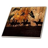 3dRose Western Cowgirl Silhouetten gegen Barn Holz mit Vintage Sonnenblume und Meadow. – Keramik Fliesen,…