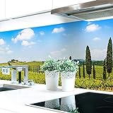 Küchenrückwand Provence Premium Hart-PVC 0,4 mm selbstklebend - Direkt auf die Fliesen, Größe:Materialprobe…