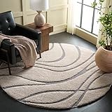 Safavieh Zottelig Teppich für Wohnzimmer, Esszimmer, Schlafzimmer - Florida Shag Collection, Hoher Flor,…