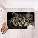 Loussiesd Katze Badezimmerteppich Haustier Katzen rutschfest Badteppiche Niedlich Kitten Drucken Saugf?hige…
