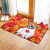 Badteppich Badteppichmatte für Badezimmer,Jack-Russell-Hund liegend auf Witz Roter Boden Tiere Sommer…