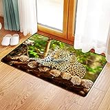 Badteppich Badteppichmatte für Badezimmer,Jaguar auf Holzboden Wildtiere Katzenartige Raubkatze Säugetier…