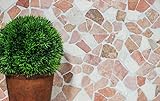Mosaik Bruch Marmor Naturstein beige rot Polygonal Rosso Cream Fliesenspiegel Wandverblender Küche -…