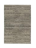 Teppich Samoa in Grau Rug Size: 200 x 290cm