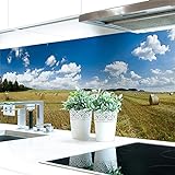 Küchenrückwand Feld Premium Hart-PVC 0,4 mm selbstklebend - Direkt auf die Fliesen, Größe:Materialprobe…